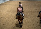 Rideopvisning 013