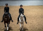 Rideopvisning 028