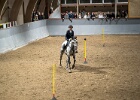 Rideopvisning 041