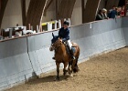 Rideopvisning 048