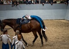 Rideopvisning 059