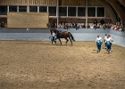 Rideopvisning 080