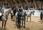 Rideopvisning 113
