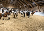 Rideopvisning 116