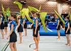 Opvisning 062