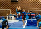 Opvisning 069
