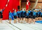 Opvisning 131