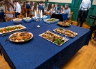 Springparty 201